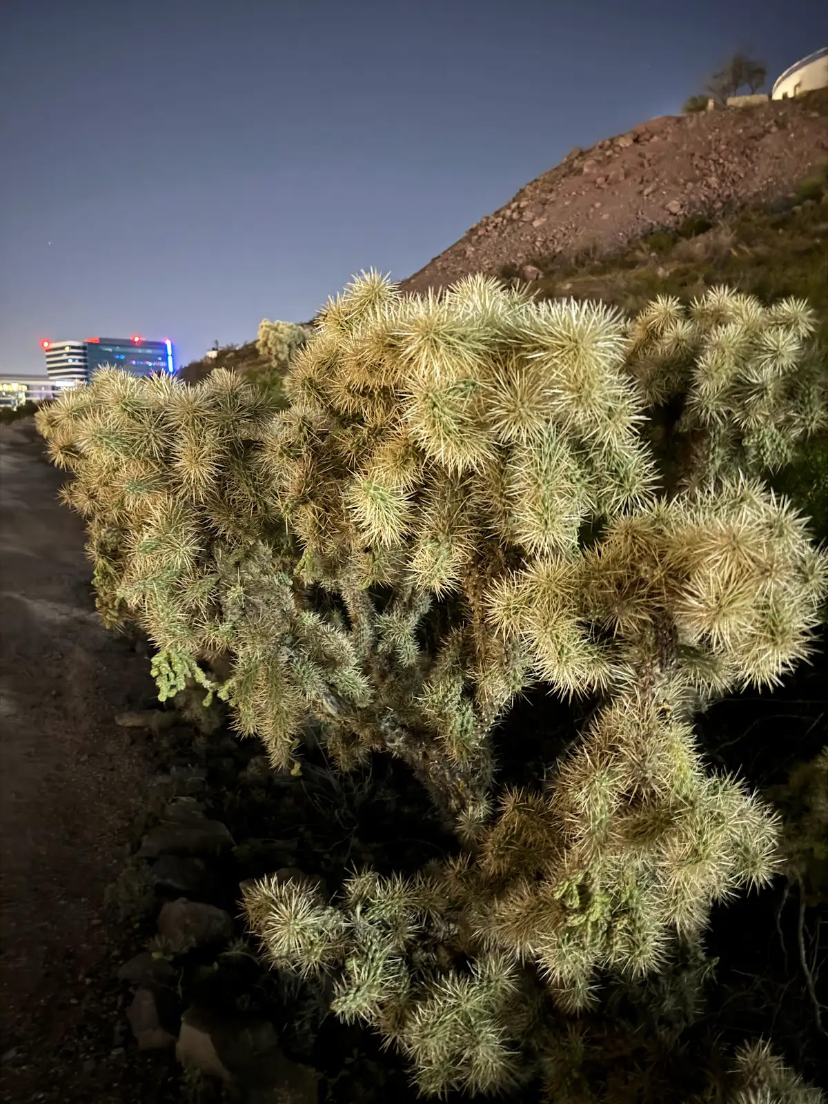 Photo from the A Mountain essay, frame 6